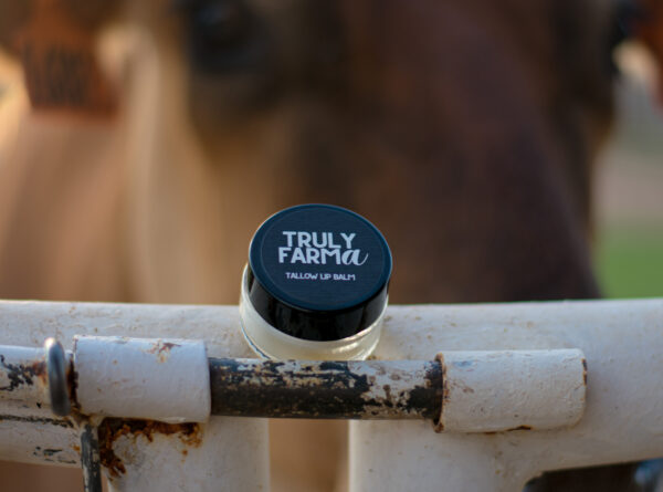 Tallow Lip Balm - Image 4